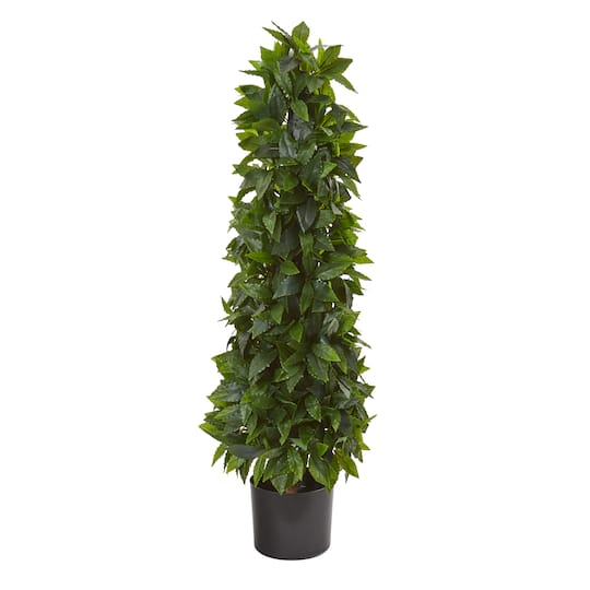 3ft. Potted Sweet Bay Cone Topiary Tree